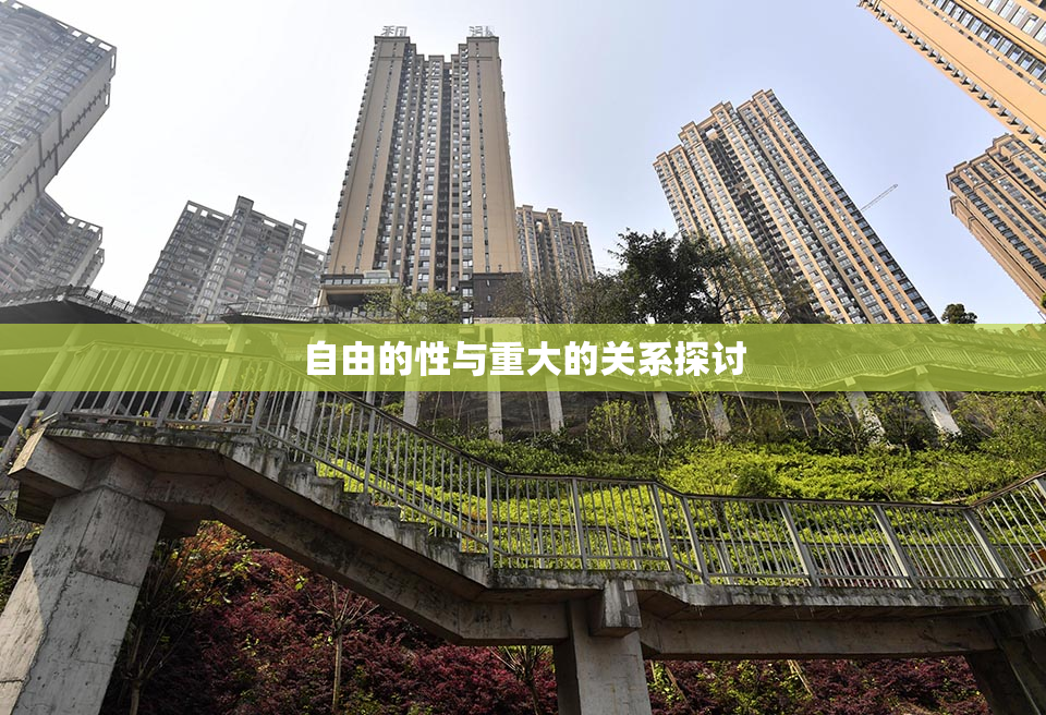 自由的性与重大的关系探讨