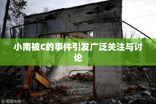 小南被C的事件引发广泛关注与讨论