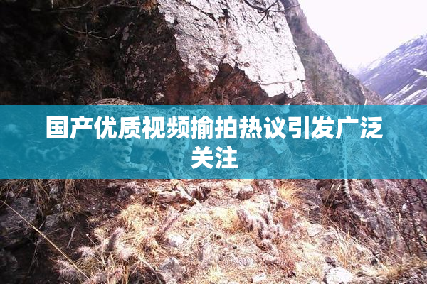 国产优质视频揄拍热议引发广泛关注