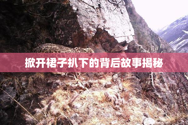 掀开裙子扒下的背后故事揭秘