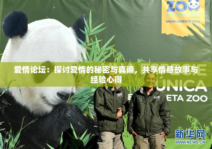 爱情论坛：探讨爱情的秘密与真谛，共享情感故事与经验心得