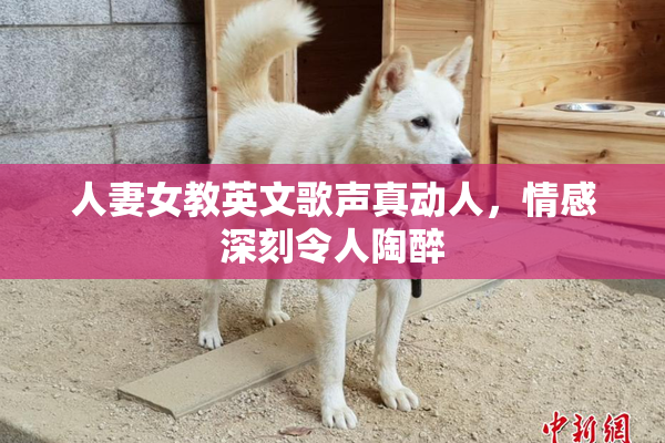人妻女教英文歌声真动人，情感深刻令人陶醉