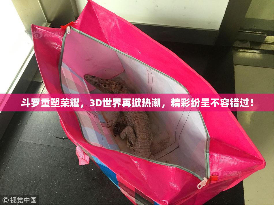 斗罗重塑荣耀，3D世界再掀热潮，精彩纷呈不容错过！