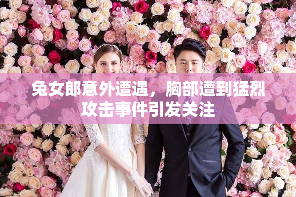 兔女郎意外遭遇，胸部遭到猛烈攻击事件引发关注