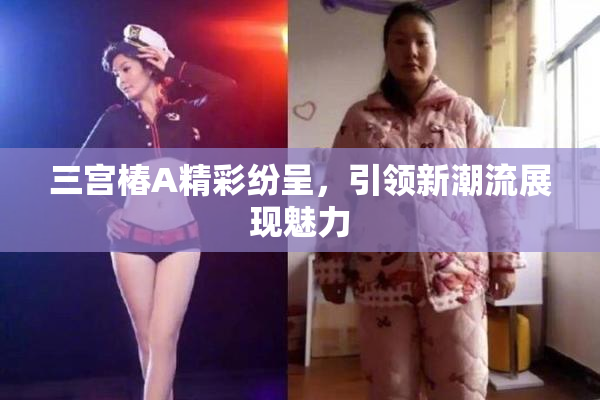 三宫椿A精彩纷呈，引领新潮流展现魅力