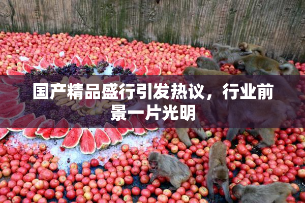 国产精品盛行引发热议，行业前景一片光明