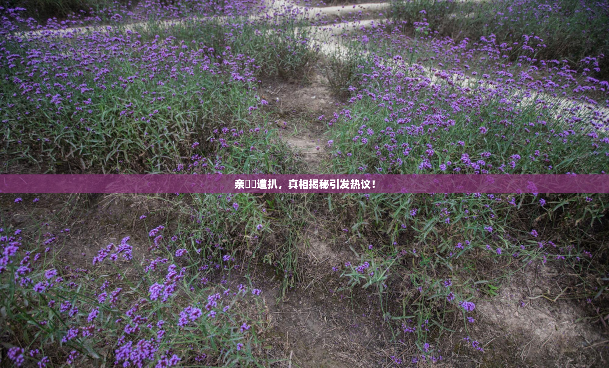 亲妺妺遭扒，真相揭秘引发热议！
