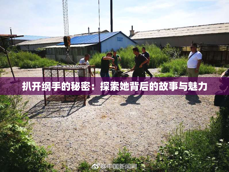 扒开纲手的秘密：探索她背后的故事与魅力