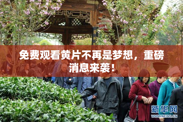 免费观看黄片不再是梦想，重磅消息来袭！