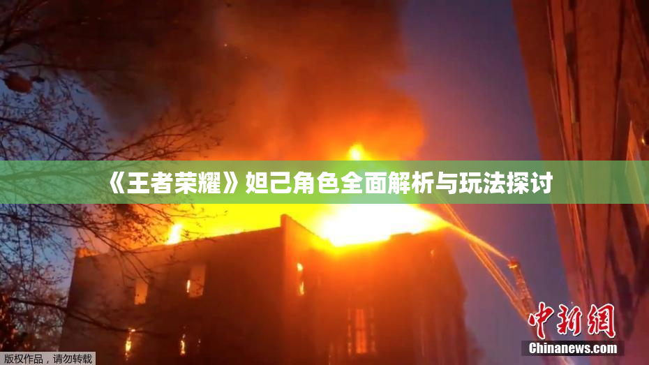 《王者荣耀》妲己角色全面解析与玩法探讨