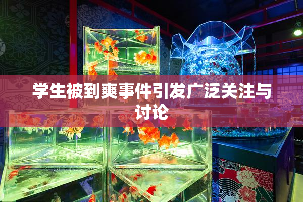 学生被到爽事件引发广泛关注与讨论