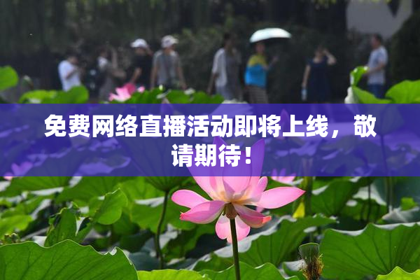 免费网络直播活动即将上线，敬请期待！