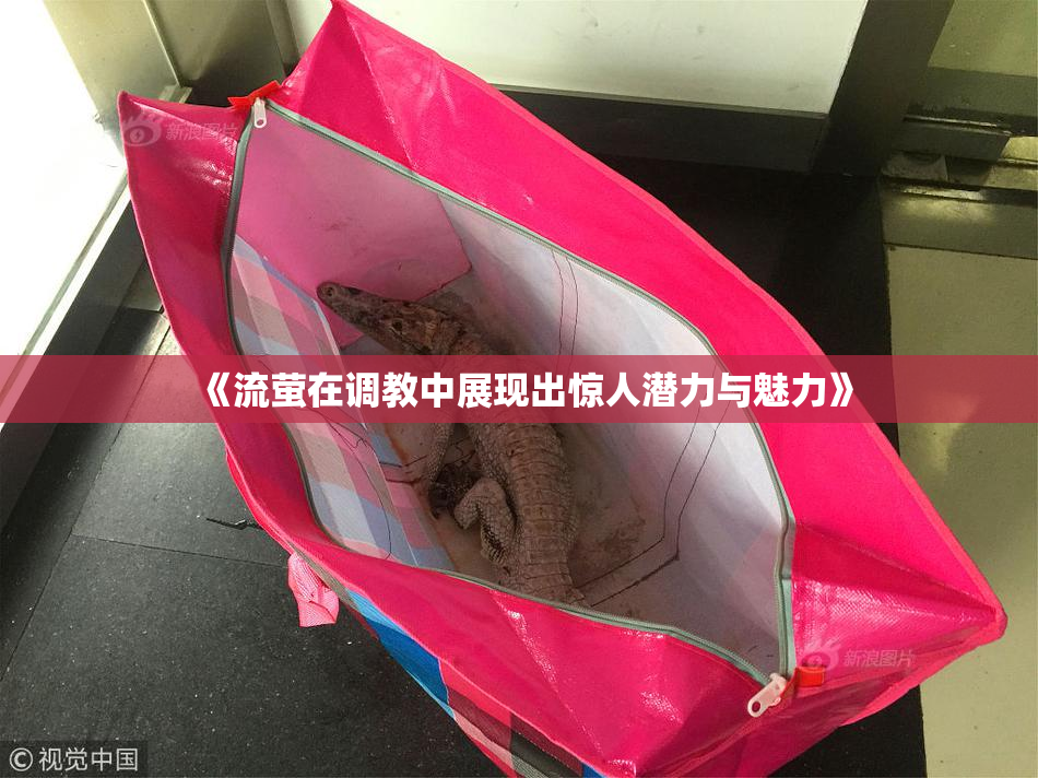 《流萤在调教中展现出惊人潜力与魅力》