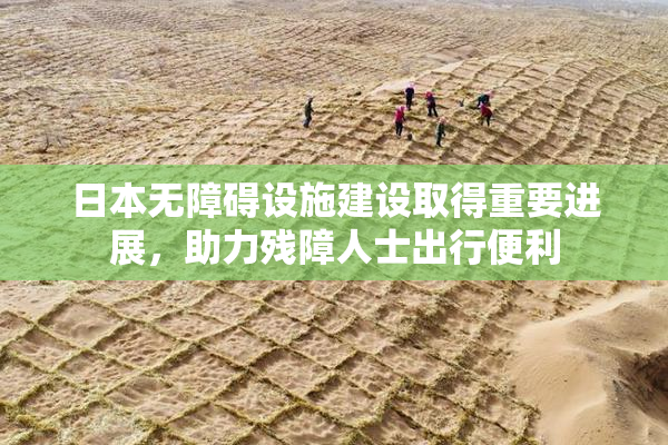 日本无障碍设施建设取得重要进展，助力残障人士出行便利