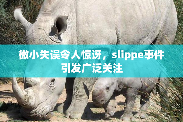 微小失误令人惊讶，slippe事件引发广泛关注