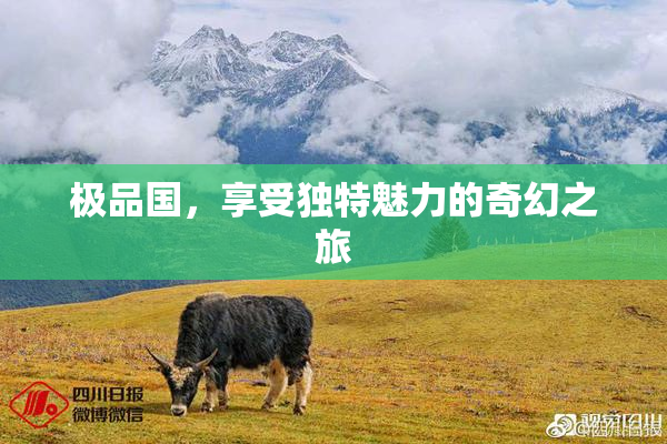 极品国，享受独特魅力的奇幻之旅