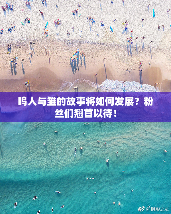 鸣人与雏的故事将如何发展？粉丝们翘首以待！