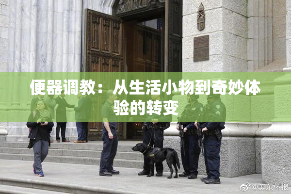 便器调教：从生活小物到奇妙体验的转变