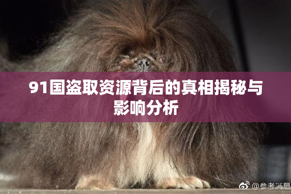91国盗取资源背后的真相揭秘与影响分析