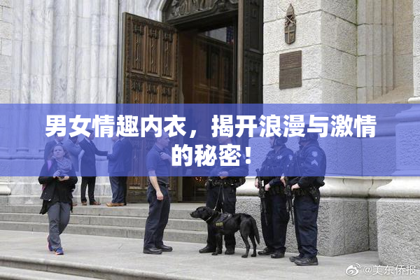 男女情趣内衣，揭开浪漫与激情的秘密！