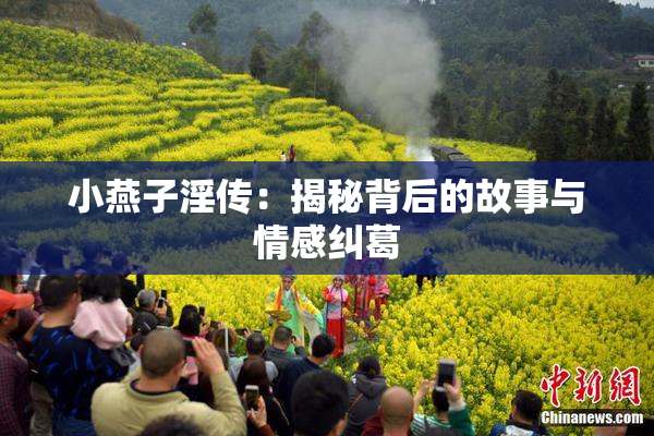 小燕子淫传：揭秘背后的故事与情感纠葛