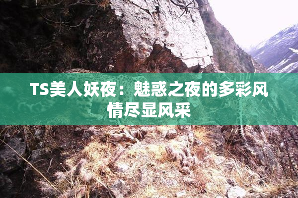 TS美人妖夜：魅惑之夜的多彩风情尽显风采