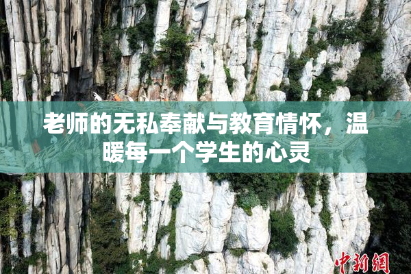 老师的无私奉献与教育情怀，温暖每一个学生的心灵