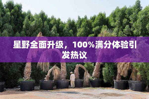 星野全面升级，100%满分体验引发热议