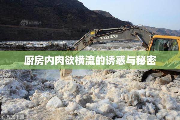 厨房内肉欲横流的诱惑与秘密