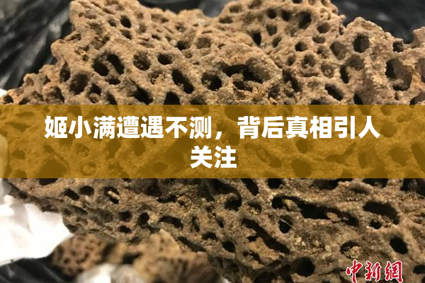 姬小满遭遇不测，背后真相引人关注