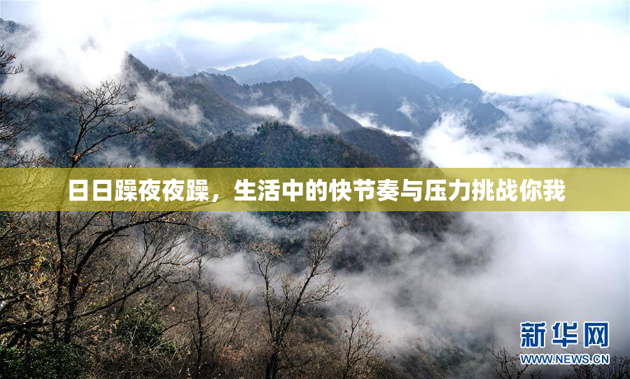日日躁夜夜躁，生活中的快节奏与压力挑战你我