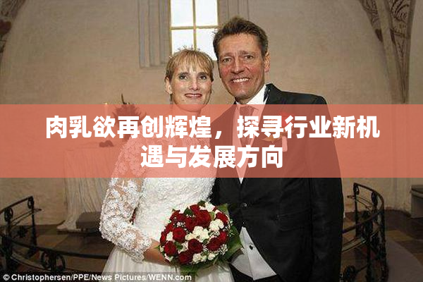 肉乳欲再创辉煌，探寻行业新机遇与发展方向