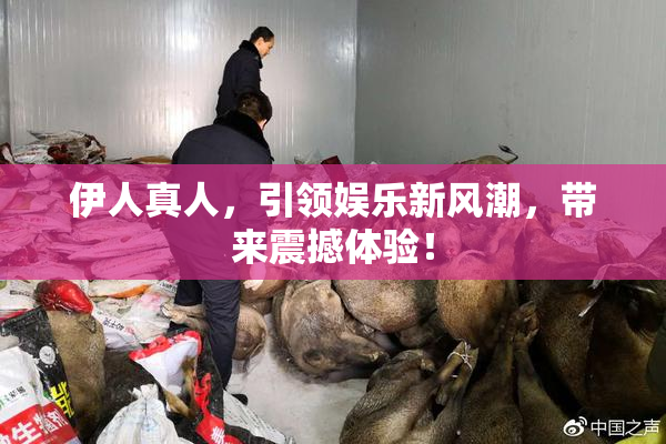 伊人真人，引领娱乐新风潮，带来震撼体验！