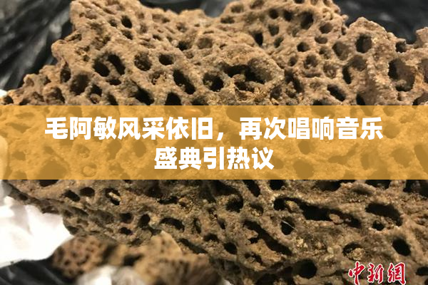 毛阿敏风采依旧，再次唱响音乐盛典引热议