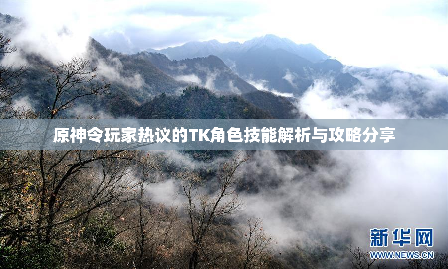原神令玩家热议的TK角色技能解析与攻略分享
