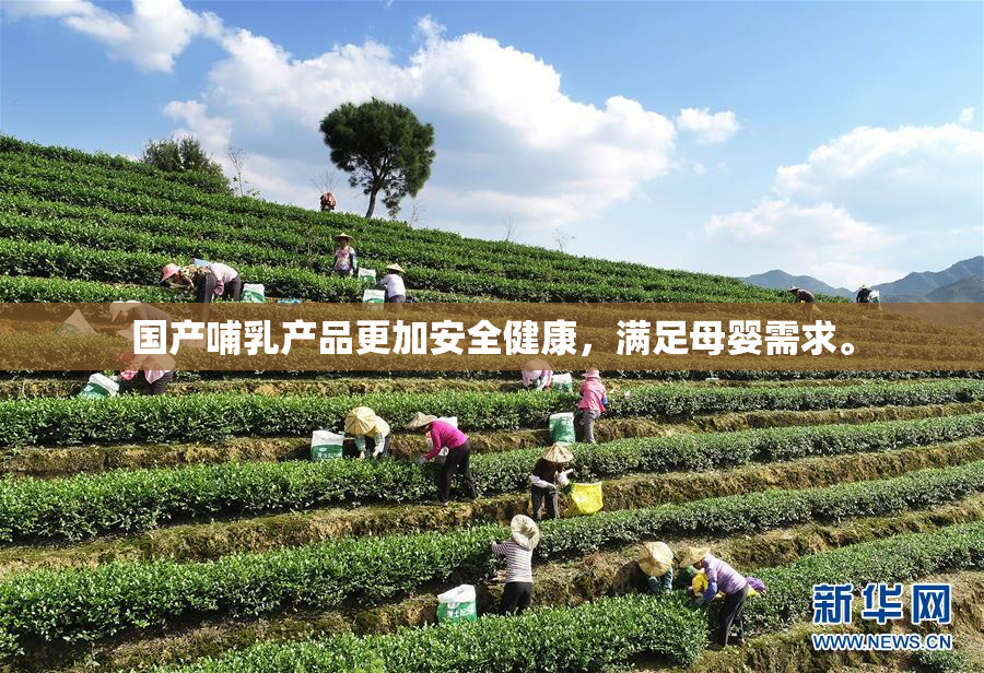 国产哺乳产品更加安全健康，满足母婴需求。