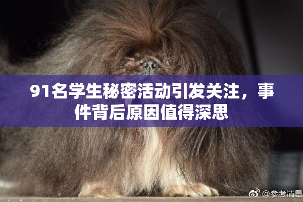 91名学生秘密活动引发关注，事件背后原因值得深思