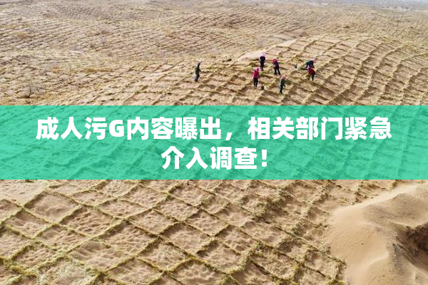 成人污G内容曝出，相关部门紧急介入调查！