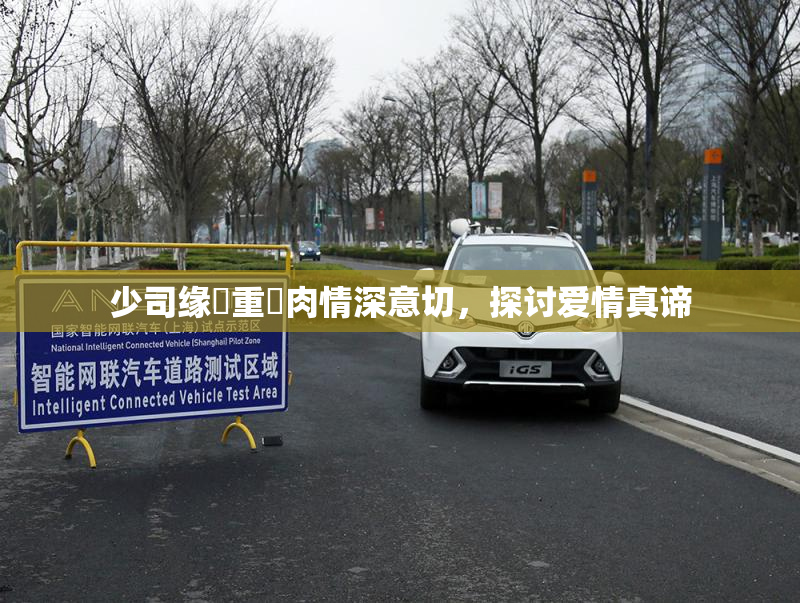 少司缘婬重泬肉情深意切，探讨爱情真谛