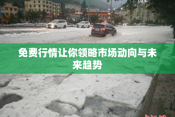 免费行情让你领略市场动向与未来趋势