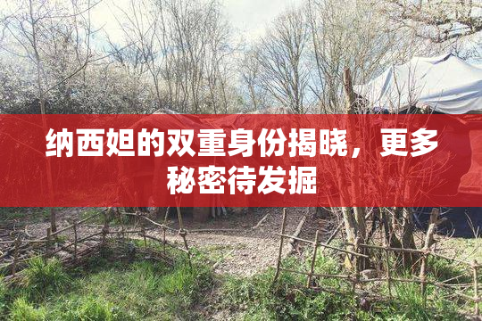 纳西妲的双重身份揭晓，更多秘密待发掘