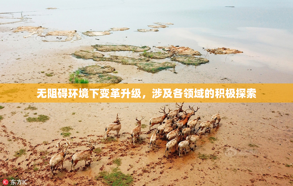 无阻碍环境下变革升级，涉及各领域的积极探索