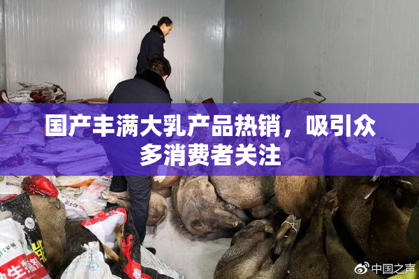 国产丰满大乳产品热销，吸引众多消费者关注
