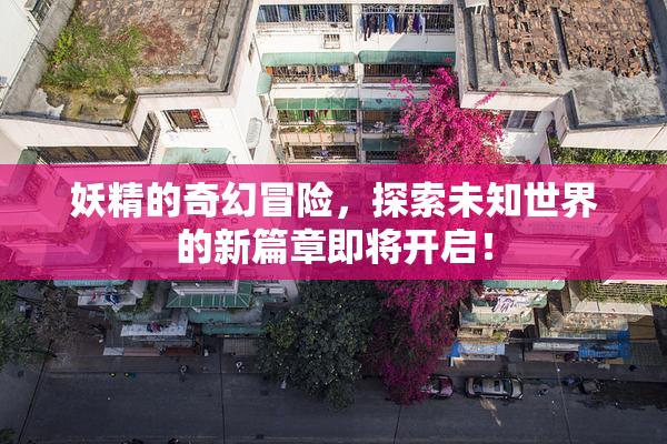 妖精的奇幻冒险，探索未知世界的新篇章即将开启！