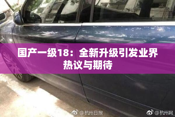 国产一级18：全新升级引发业界热议与期待