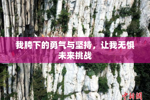 我胯下的勇气与坚持，让我无惧未来挑战