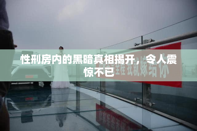 性刑房内的黑暗真相揭开，令人震惊不已