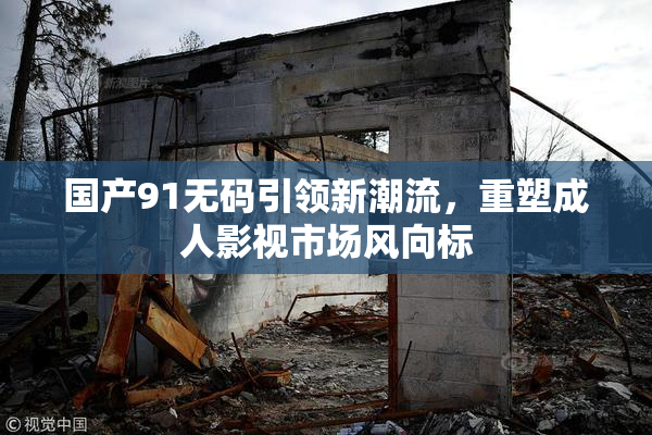 国产91无码引领新潮流，重塑成人影视市场风向标