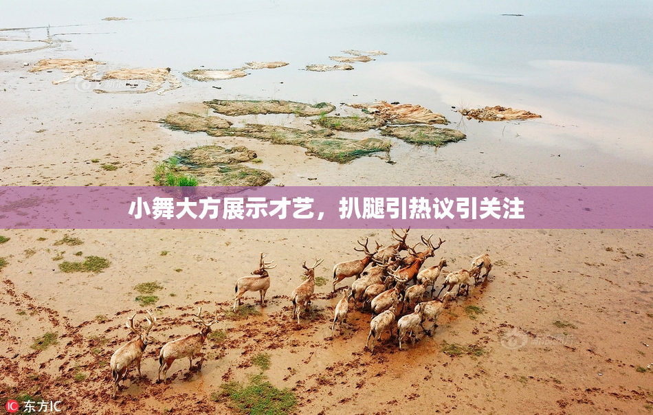 小舞大方展示才艺，扒腿引热议引关注