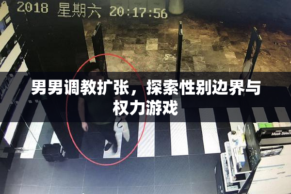 男男调教扩张，探索性别边界与权力游戏